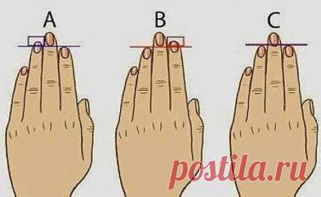 По рукам можно много понять о человеке...