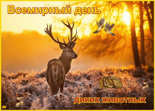 Природа — это дом родной,
Мы все ее должны ценить,
И защищать любой ценой,
А не, как варвары, громить!