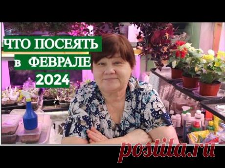 НЕ ЗАБУДЬТЕ ПОСЕЯТЬ ЭТО В ФЕВРАЛЕ! Что посеять в феврале 2014