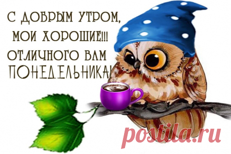 image (1024×683)