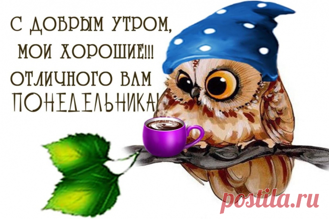 image (1024×683)