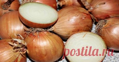 Я и не знала, что лук лечит столько болезней… Лучше любых таблеток! Что же такого особенного есть в луке?