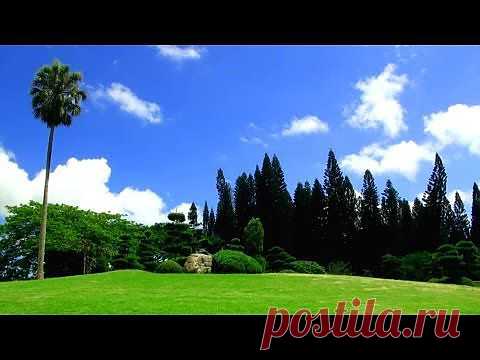 видеоклипы, ролики «Музыка Природы