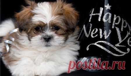 Бесплатные Ecards, поздравительные открытки, анимированные открытки, открытки, прикольные открытки | 123 Поздравления