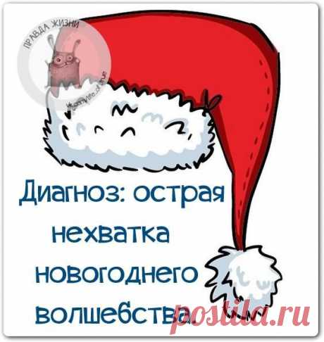 Новости