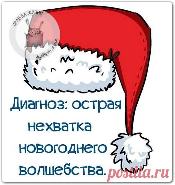 Новости