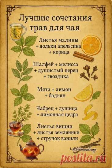 Травы