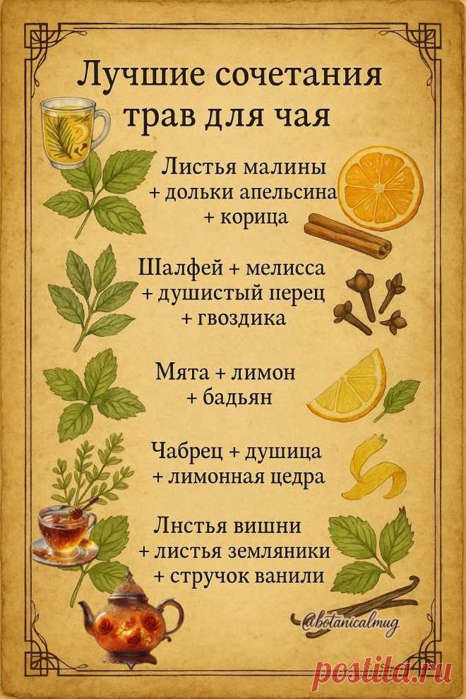 Травы