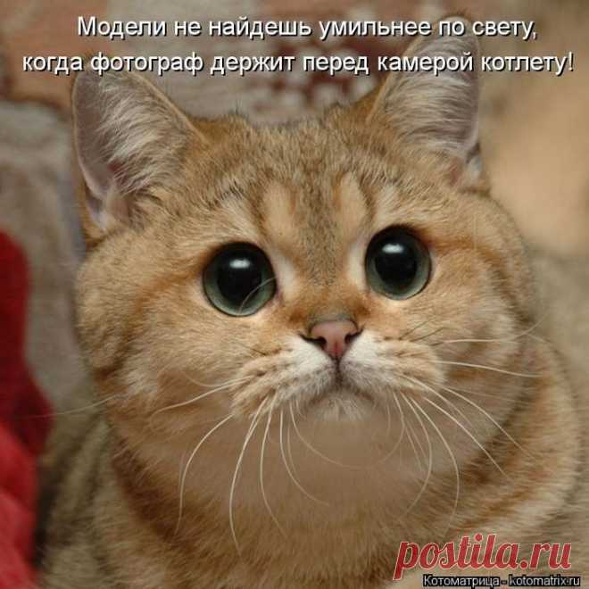 ВСЁ ЛУЧШЕЕ ИЗ YOU TUBE (16 плюс)
Елена Маркина