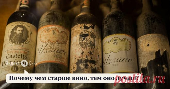 «Почему чем старше вино, тем оно лучше?» – Яндекс.Кью 23 октября 2020 Игорь Глотов ответил: Это неверное утверждение.
Лишь около 5% вин (в основном - это красные вина) могут храниться более 10 лет.
У всех вин есть так называемый 