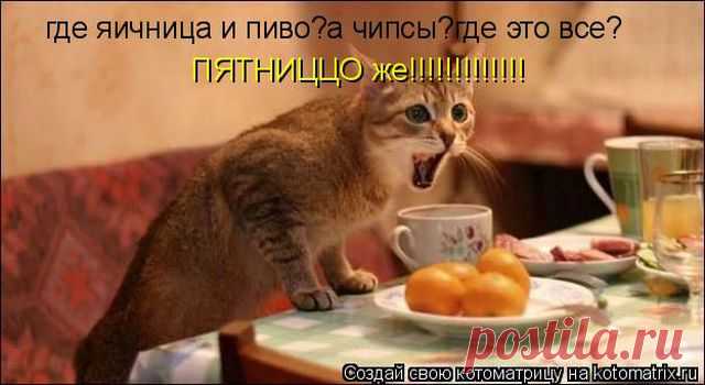 Лучшие котоматрицы недели (50 фото) Классные картинки от сайта Котоматрица.


















































