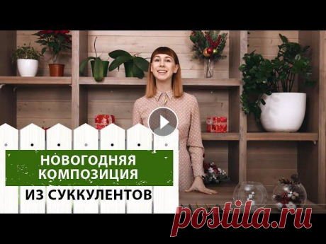 Новогодняя композиция из суккулентов Содержание0:00 - Вступление0:14 - Внимание, конкурс!0:23 - Что понадобится для создания композиции0:59 - Делаем дренаж1:17 - Наполняем композицию1:35 ...