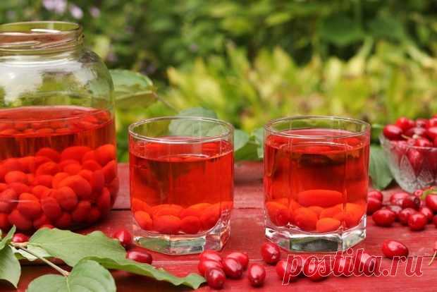 Компот из кизила на зиму — Домашняя кулинария