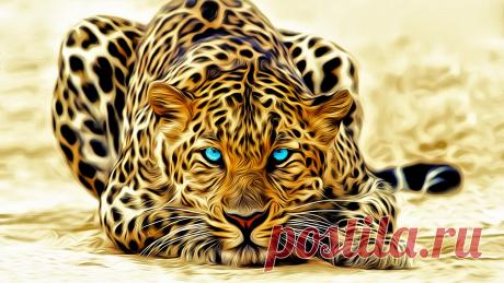 Леопард скачать фото обои для рабочего стола