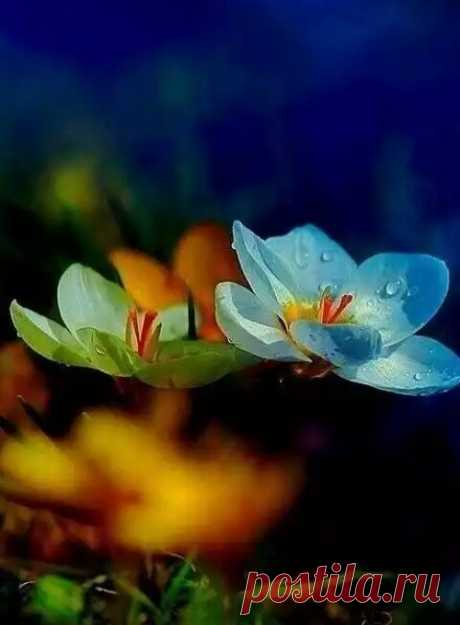 Arun Aron – Google+