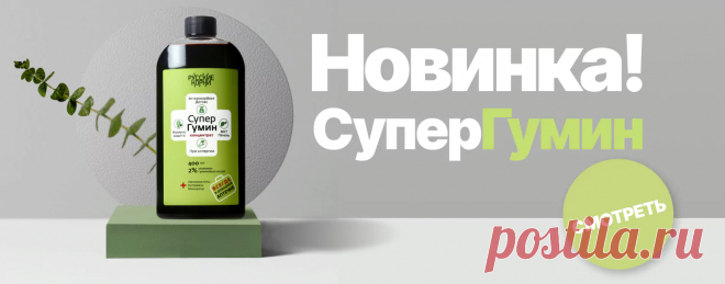 Интернет-магазин 