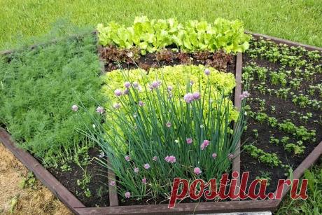 Винтажный огородик: 1 тыс изображений найдено в Яндекс Картинках