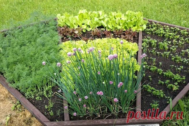 Винтажный огородик: 1 тыс изображений найдено в Яндекс Картинках