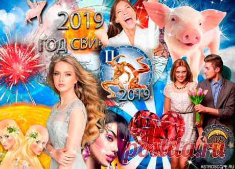 Гороскоп на 2019 год Близнецы: годовой прогноз для знака Зодиака Близнецы на 2019 год.
