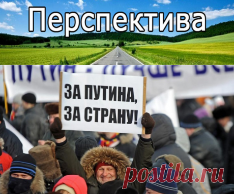 Опрос по Конституции должен явить не мнение народа, а его покорность | Pravdoiskatel