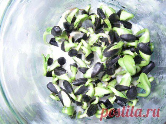 (99+) Одноклассники