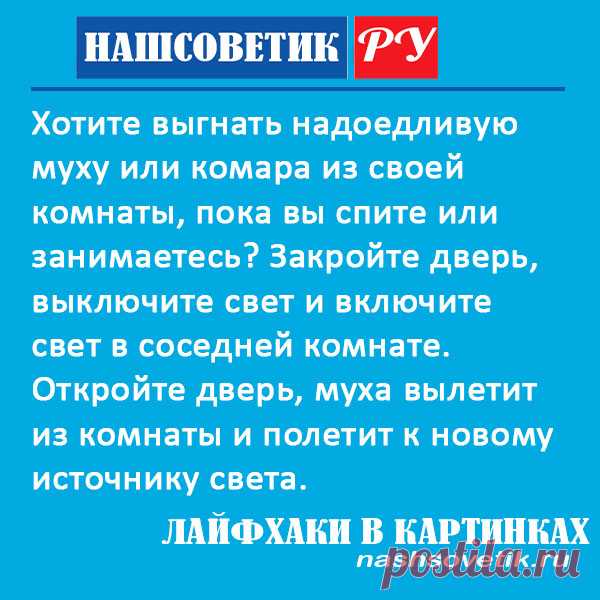 Как выгнать муху или комара из комнаты?