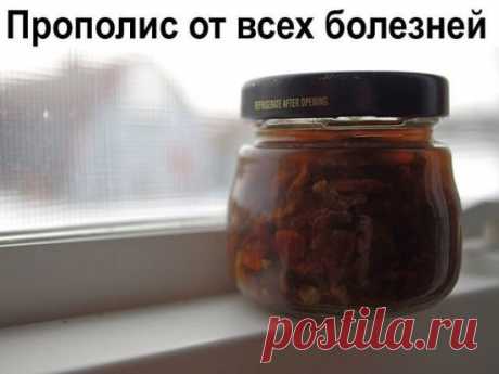 Прополис от всех болезней.
Сочетание прополиса и молока дает особый эффект: помимо лечения простудных и легочных заболеваний улучшается общее самочувствие, сон, снимается раздражительность, усталость.
- 10%-ную настойку прополиса лучше всего купить в аптеке. Пузырька емкостью 25 мл вам хватит надолго, а стоит он всего несколько рублей.
- Принимать средство следует вечером, перед сном по 20 капел