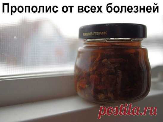 Прополис от всех болезней.
Сочетание прополиса и молока дает особый эффект: помимо лечения простудных и легочных заболеваний улучшается общее самочувствие, сон, снимается раздражительность, усталость.
- 10%-ную настойку прополиса лучше всего купить в аптеке. Пузырька емкостью 25 мл вам хватит надолго, а стоит он всего несколько рублей.
- Принимать средство следует вечером, перед сном по 20 капел