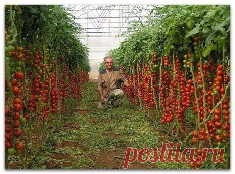 Интересные новости