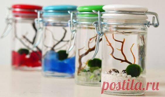 Миниатюрный аквариум как элемент декора ~ Planetalsad