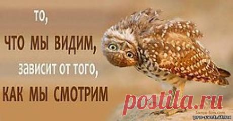 интересные фразы