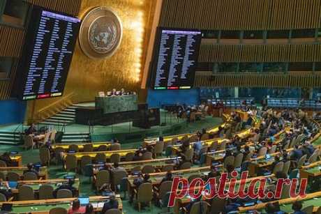 Названо число посягательств на дипмиссии России за полтора года. С 15 декабря 2020 года по май 2022 года произошло свыше 150 неправомерных актов, посягающих на неприкосновенность российских дипмиссий, некоторые из них закончились трагично. Такое число назвала представитель России Анна Антонова на заседании Шестого комитета Генассамблеи ООН.