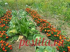 Письмо «6 рецептов мясных солянок / Простые рецепты и другие материалы. Новое в Вашей подборке на Постила.ru» — Постила.ru — Яндекс.Почта