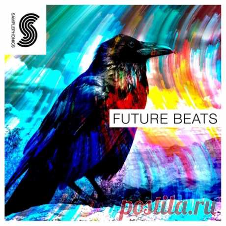 Sample Phonics Future Beats MULTiFORMAT  | 863 MB

Do you produce futuristic RnB, melody infused Trap, Future Garage, Electronic Hip Hop, spaced out Synth Pop or Deep House? Well, this sample library will provide you with a huge collection of inspirational loops, samples and sampler presets that offer a unique and refreshingly different set of sounds.