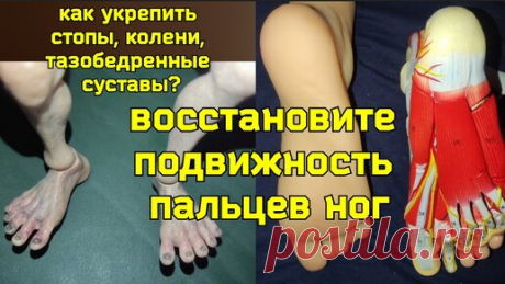 Как оживить "мёртвые" пальцы ног, чтобы спасти тазобедренные суставы и позвоночник? Упражнения от плоскостопия | Причины Здоровья | Дзен