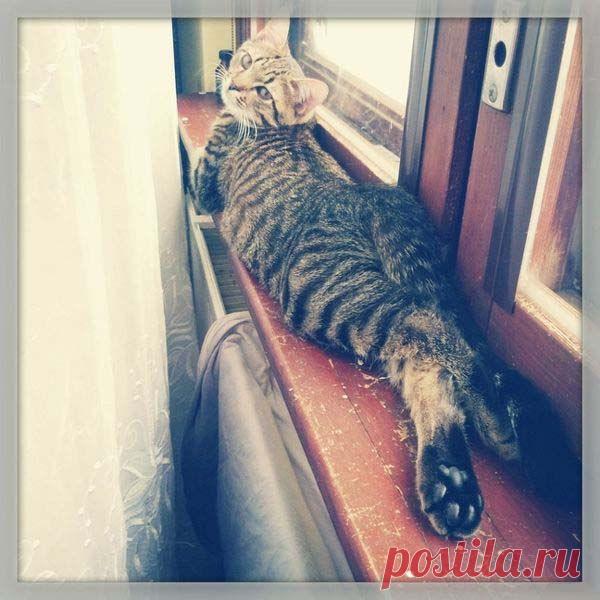 Ну и где мой принц? Я вся такая, растакая...