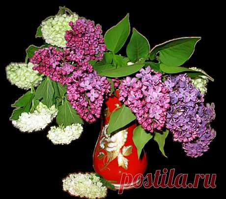 Клипарт&quot;Букеты цветов&quot;