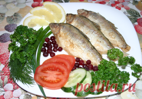 Пелядь (сырок), места обитания, рыбалка и способы приготовления
