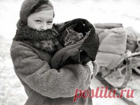 Моя бабушка всегда говорила, что тяжёлую блокаду и голод и я моя мама, а я её дочь, пережила только благодаря нашему коту Ваське. Если бы не этот рыжий хулиган, мы с дочерью умерли бы с голоду как многие другие.
Каждый день Васька уходил на охоту и притаскивал мышек или даже большую жирную крысу. Мышек бабушка потрошила и варила из них похлебку. А из крыски получался неплохой гуляш.
При этом кот сидел всегда рядом и ждал еду, а ночью все трое лежали под одним одеялом и...