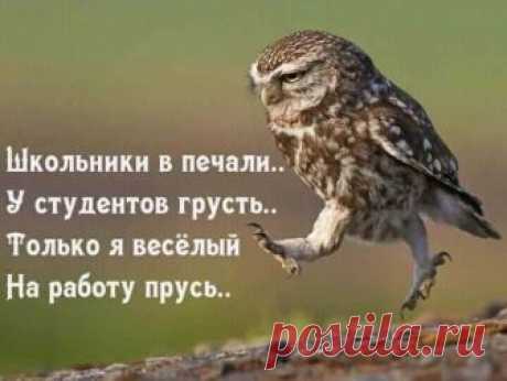 (1) Велеслава Мирия