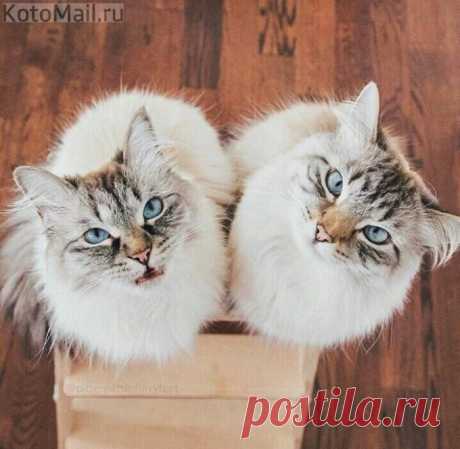 Вдвоём нам не скучно