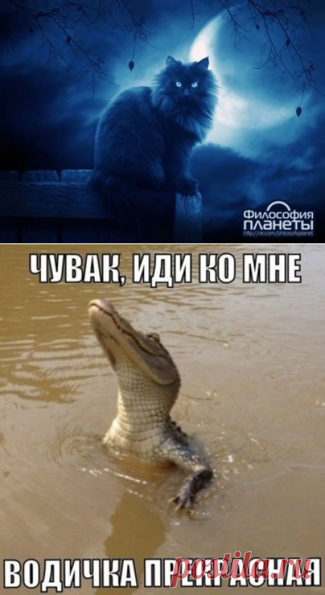 Одноклассники