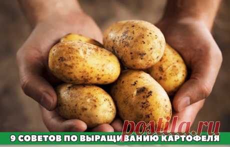 (48) Одноклассники