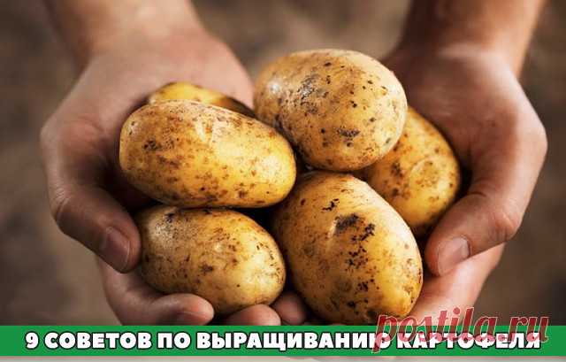 (48) Одноклассники