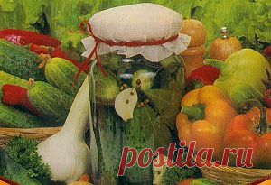 Огурцы консервированные | ХОЗЯЮШКА