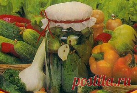 Огурцы консервированные | ХОЗЯЮШКА