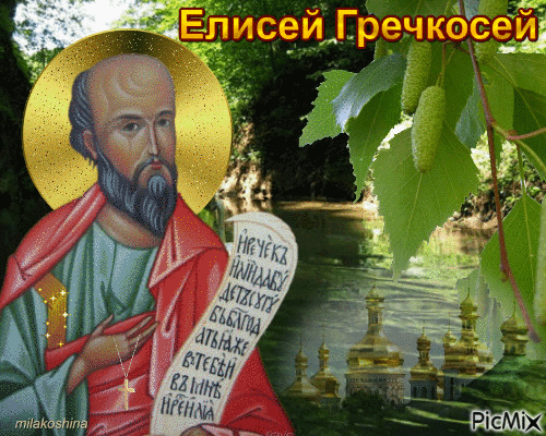 С праздником Елисея Гречкосея! Желаю, чтобы любой ваш труд приносил богатые плоды, а в доме всегда звенела монета и царил уют. Пусть святой Елисей оберегает вашу семью от невзгод и дарует крепкое здоровье! Открытки на Елисей Гречкосей!
