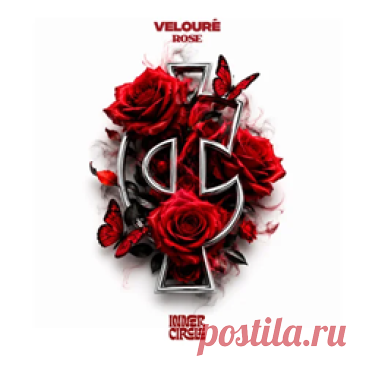 Velouré - Rose | 4DJsonline.com