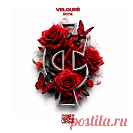 Velouré - Rose | 4DJsonline.com