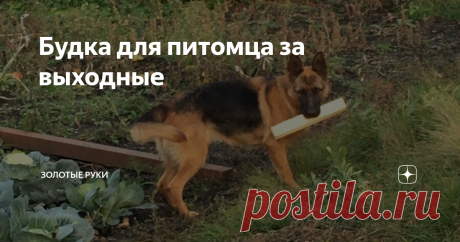 Будка для питомца за выходные Всем привет!
Приобрёл так сказать питомца, ну и будку решил в стиле дома сделать за выходной! Оценивайте господа !! Утеплил по максимуму.
Продолжение уже будет вольер!
Работу прислал Сергей Сургучёв, Пенза.